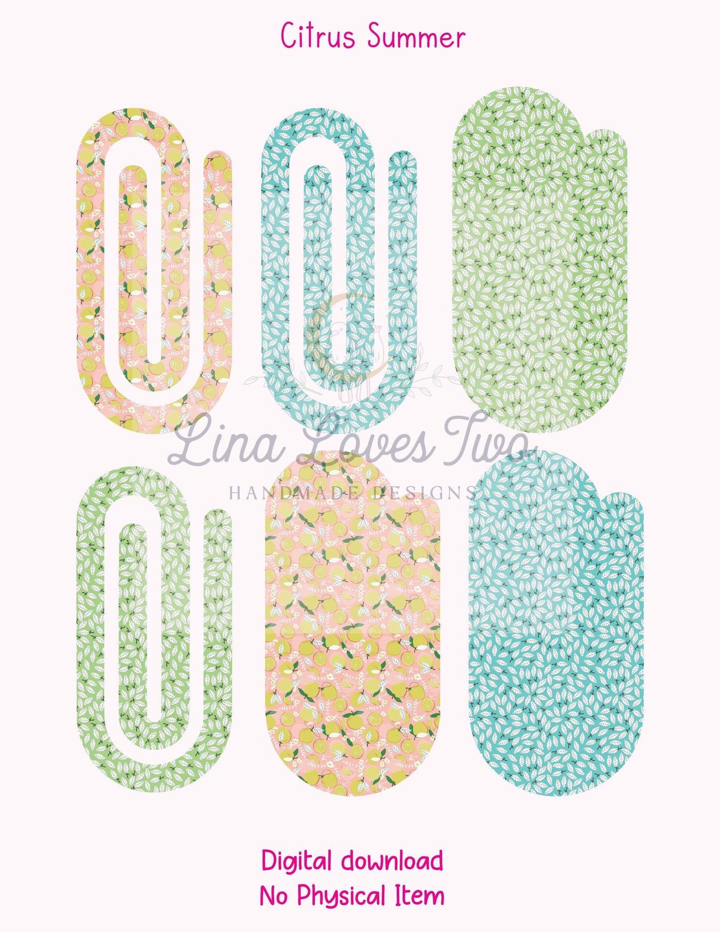 Citrus Paperclip PNG: Summer Fruit Clipart (Digital Download)